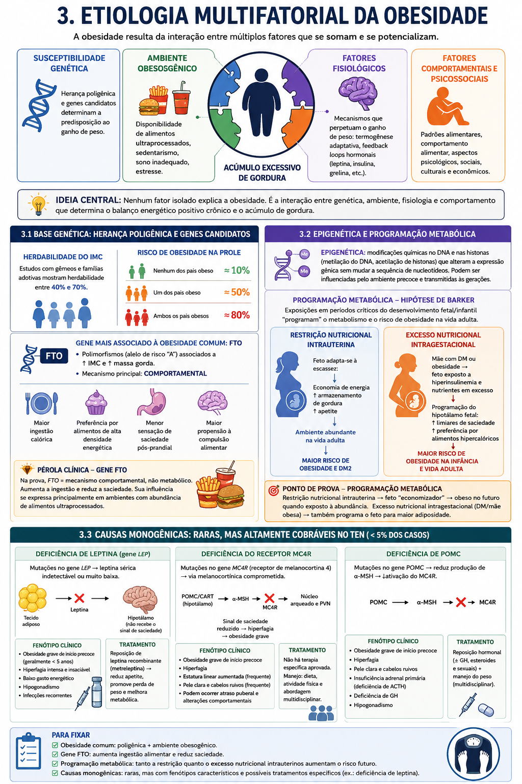 Etiologia Multifatorial da Obesidade